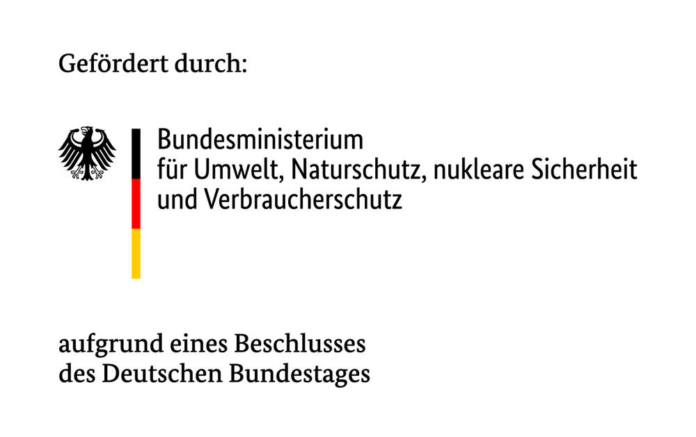 Förderhinweis des Bundesministeriums für Umwelt, Naturschutz, nukleare Sicherheit und Verbraucherschutz aufgrund eines Beschlusses des Deutschen Bundestages
